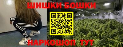 молекула духа Камышлов