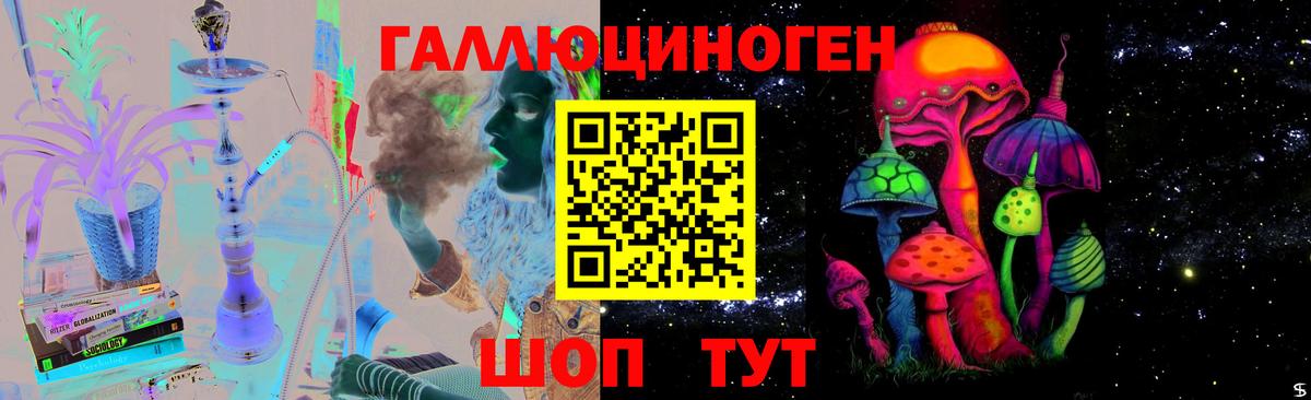 Луга  Псилоцибиновые грибы GOLDEN TEACHER  где купить   Псилоцибиновые грибы прущие грибы  Вход с VPN 